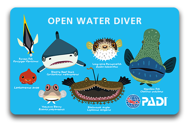 友永たろデザイン【魚正面】