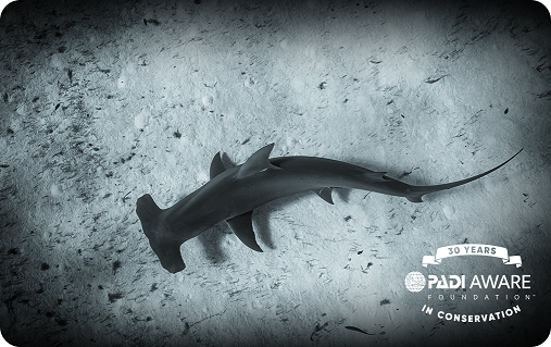 デザインカード2023