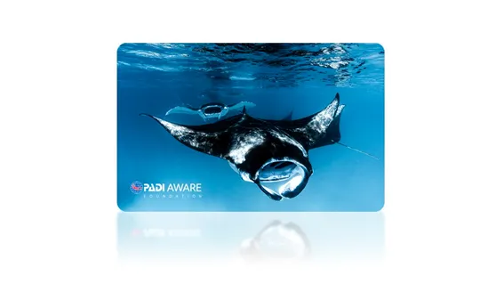 デザインカード2025