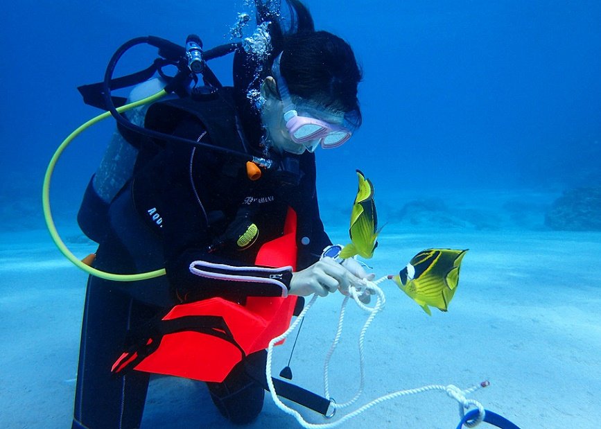 サーチ&リカバリーのアドベンチャーダイブ講習