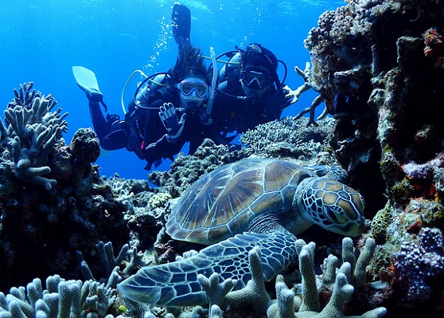 慶良間諸島でウミガメと記念写真