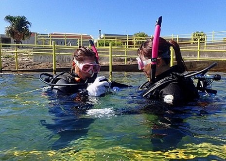 波の上うみそら公園(講習施設)で開催するPADIオープンウォーターダイバーコースの限定水域でのダイビングライセンス講習の様子