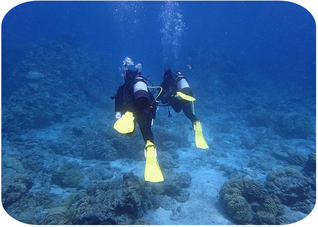 沖縄ダイビングライセンス講習専門店KAHANAが開催するPADIオープンウォーターダイバーコースの浮上とエキジットの練習