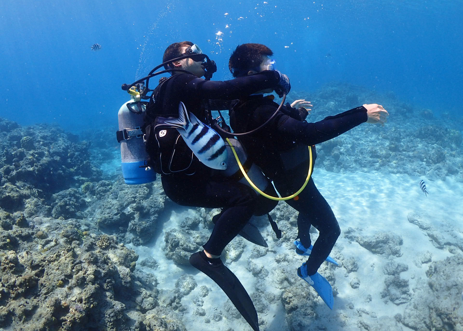 沖縄ダイビングライセンス講習専門店KAHANAが開催するPADIレスキューダイバーコースのスキル「意識不明ダイバーを浮上させる」