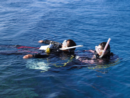 沖縄ダイビングライセンス講習専門店KAHANAが開催するPADIレスキューダイバーコース