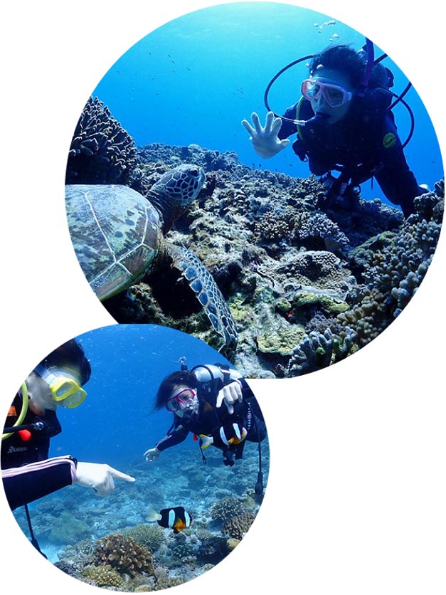 沖縄ダイビングライセンス講習専門店KAHANAが開催するPADIアンダーウォーター・ナチュラリストSP