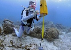 沖縄ダイビングライセンス講習専門店KAHANAが開催するPADIサーチ&リカバリーSP