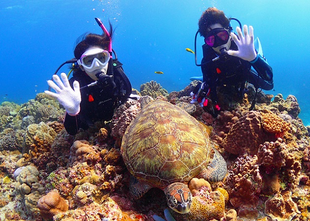 沖縄体験ダイビング ウミガメと記念写真が撮れることもあります