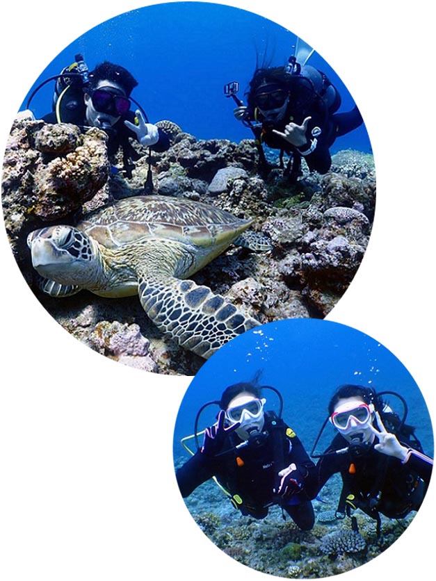 慶良間半日便で体験ダイビングを満喫 午前便と午後便の選択が可能です