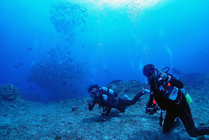 沖縄ダイビングショップKAHANAが開催する粟国島遠征便ではギンガメアジと記念写真が撮れます