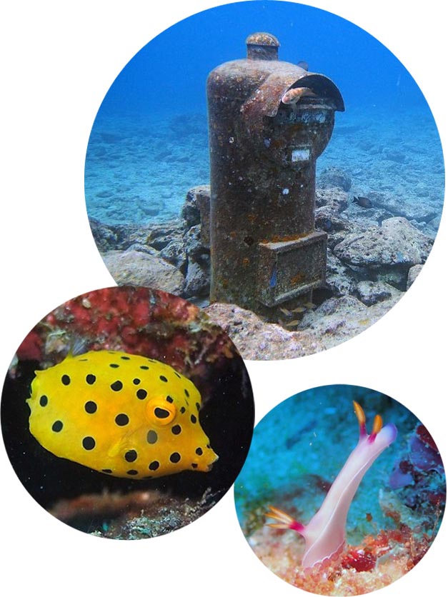 沖縄県北谷町にある砂辺No.1は水中ポストやウミウシ、ミナミハコフグやソフトコーラルなどが見所です