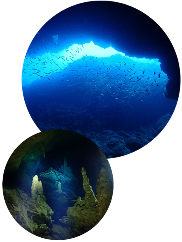 沖縄ダイビングショップKAHANAが開催する沖縄本島最北端辺戸岬ダイビング