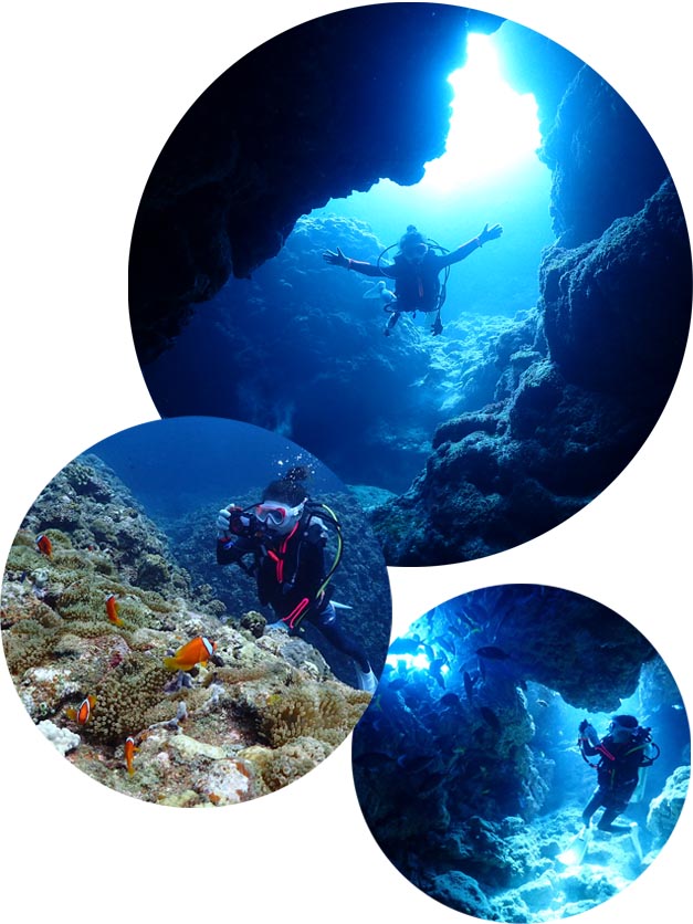 沖縄ダイビングショップKAHANAで開催する沖縄本島南部にある糸満ダイビング