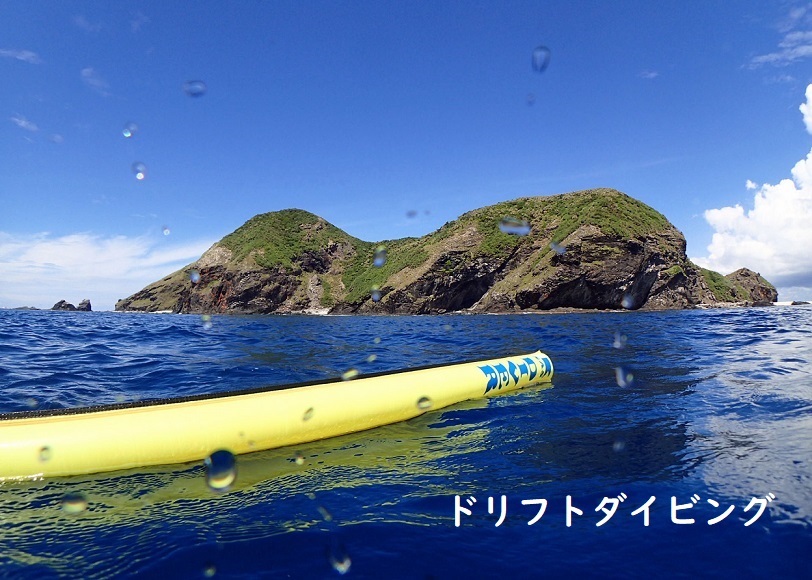 沖縄ダイビングショップKAHANAで開催する慶良間1日便でのFUNダイビングはドリフトダイビングもできます
