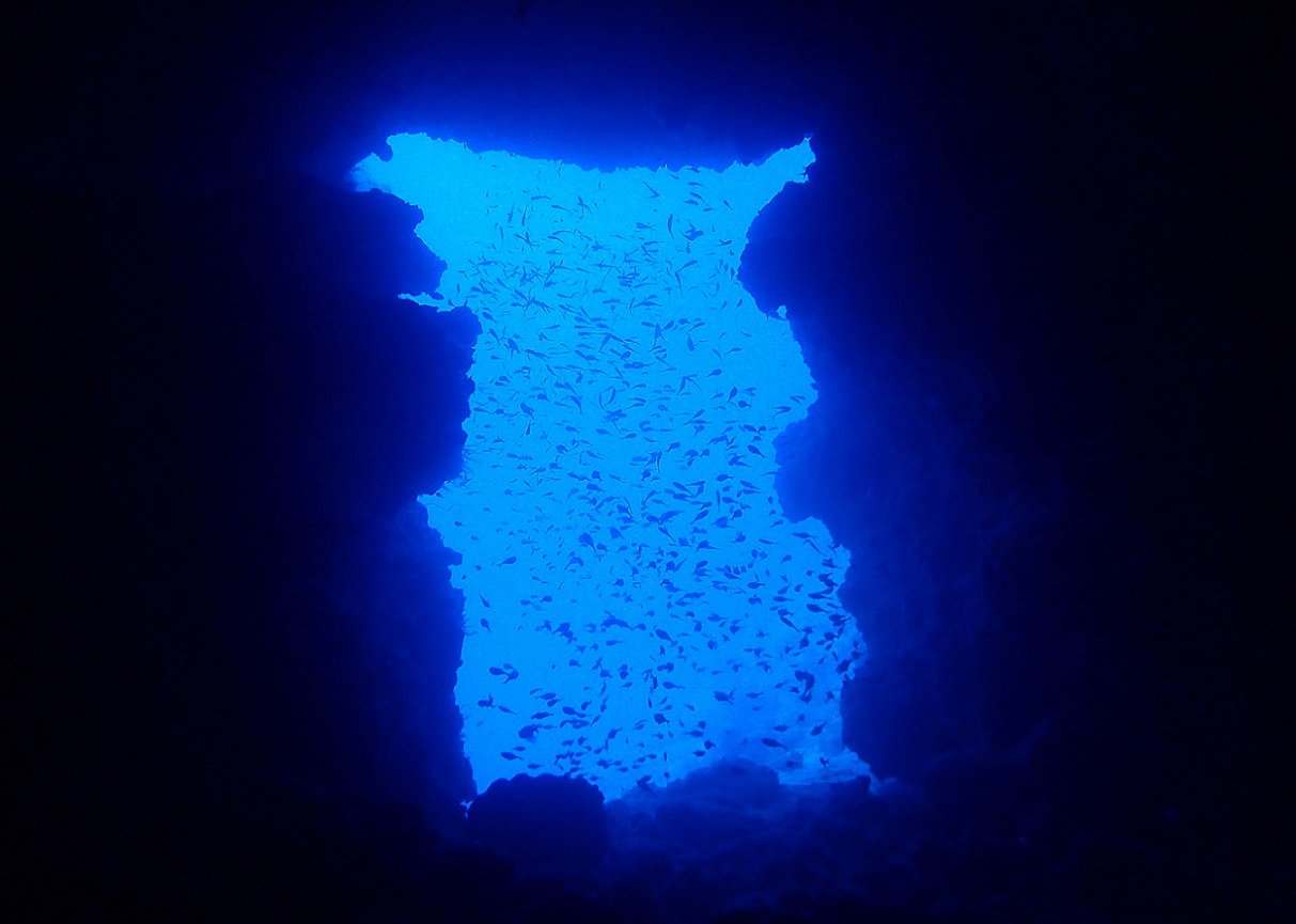 沖縄ダイビングショップKAHANAが開催する万座の大人気ダイビングポイント「ドリームホール」は角度によってピカチュウにみえます