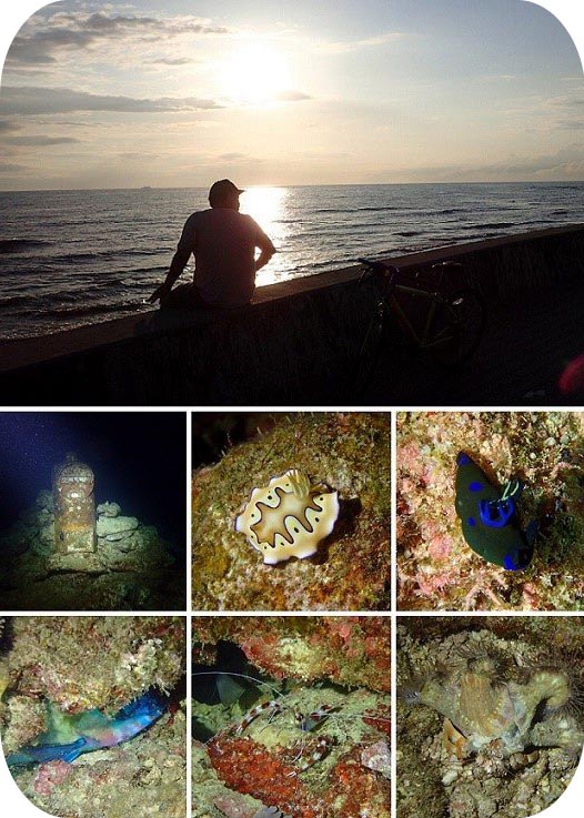 沖縄ダイビングショップKAHANAではナイトダイビングも開催が可能です