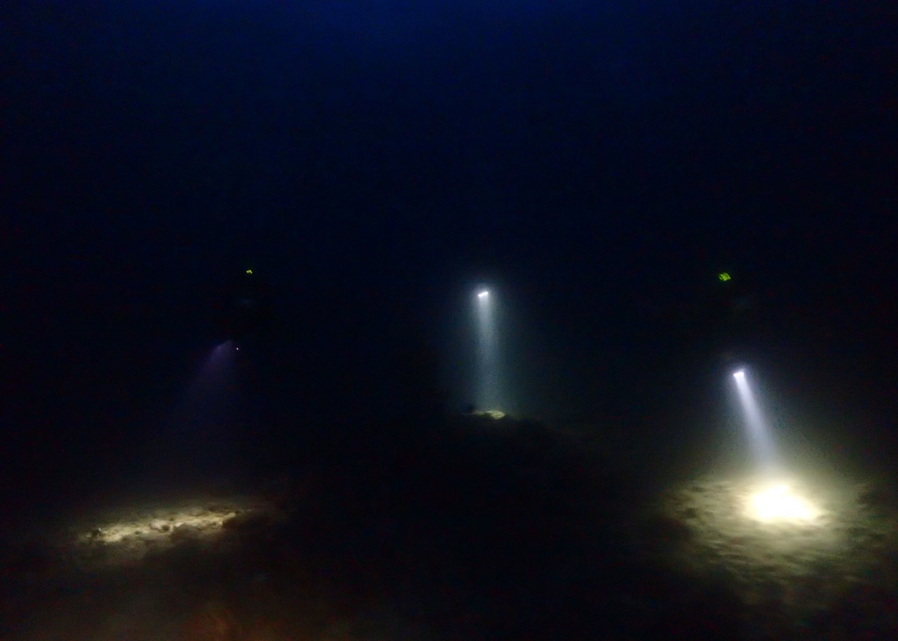 沖縄ダイビングショップKAHANAが開催したナイトダイバーSP講習の様子です