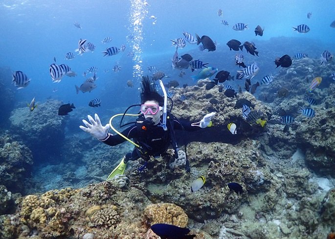 沖縄県恩納村にある青の洞窟でのFUNダイビングは洞窟だけではなくお魚もたくさんいます