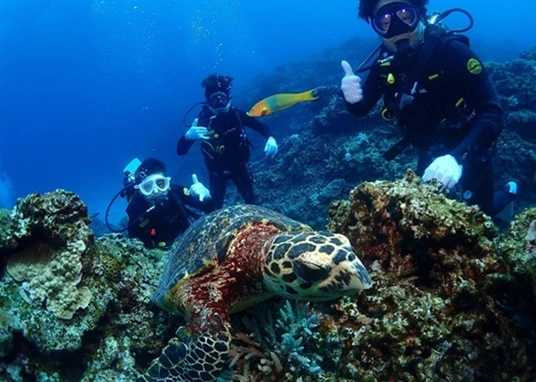 FUNダイビングを慶良間1日便で開催
