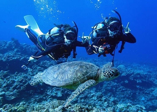 沖縄ダイビングショップKAHANAが開催する慶良間諸島でのFUNダイビングツアーでアオウミガメと記念写真